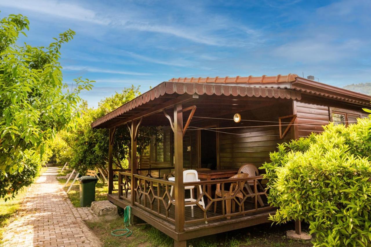 Ikiz Villas Çıralı 외부 사진