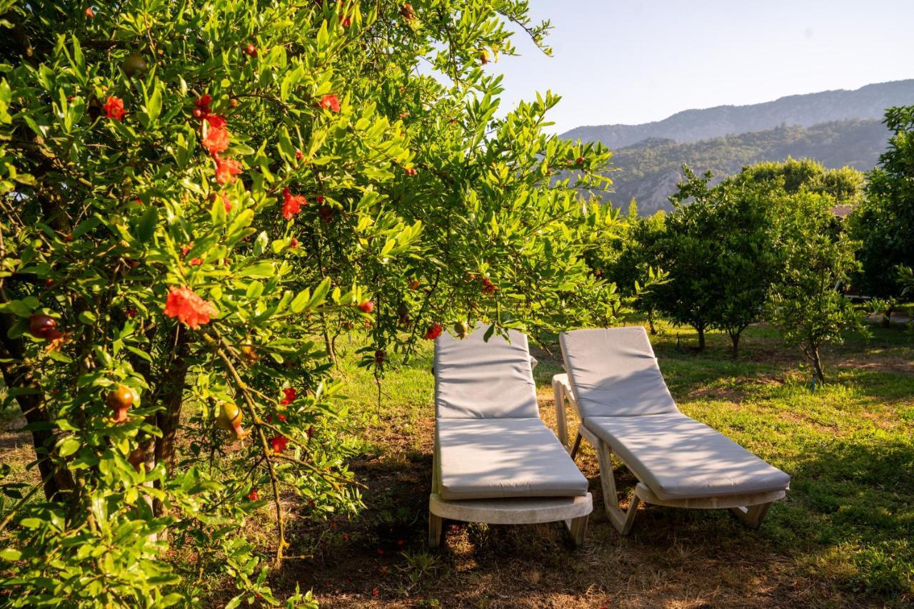 Ikiz Villas Çıralı 외부 사진