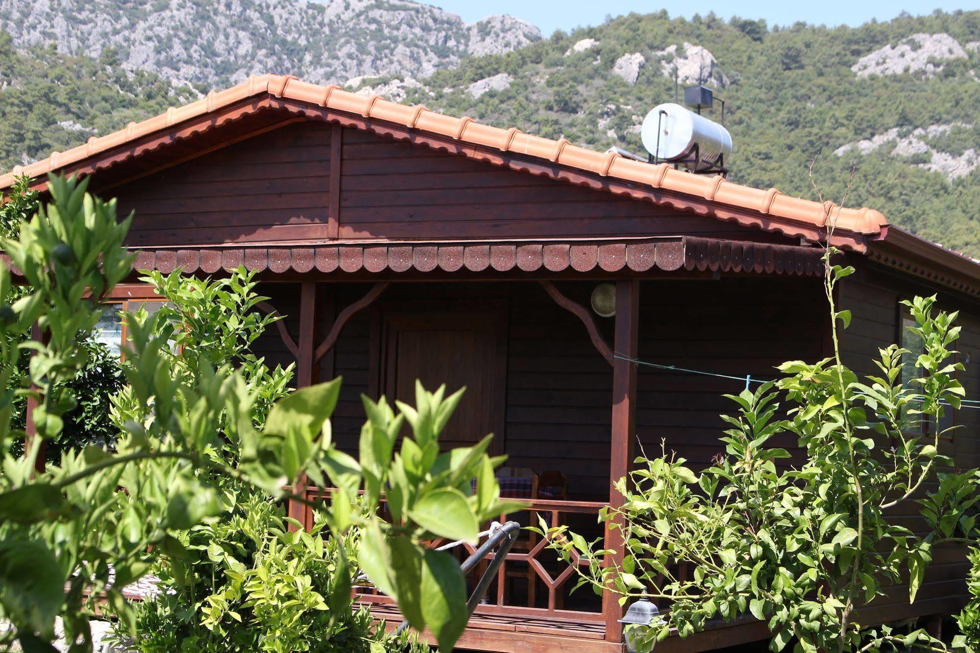 Ikiz Villas Çıralı 외부 사진
